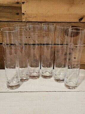 🐕 NWOT Set of 6 Clear Etched Glass Bud Vases